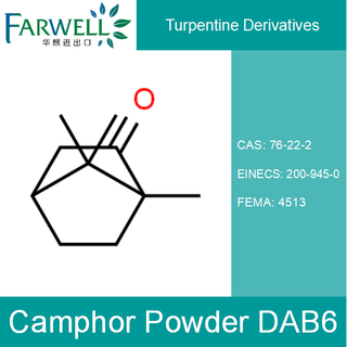 Camphor Powder DAB6
